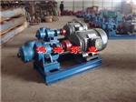 高粘度泵-高粘度泵转子泵-内啮合高粘度泵