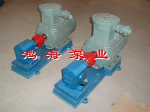 齿轮油泵-DHB系列点火油泵-增压燃油泵