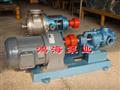高粘度齿轮泵 -NYP内环式高粘度齿轮泵 