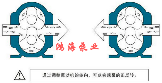 HTLB无堵塞高粘度转子泵